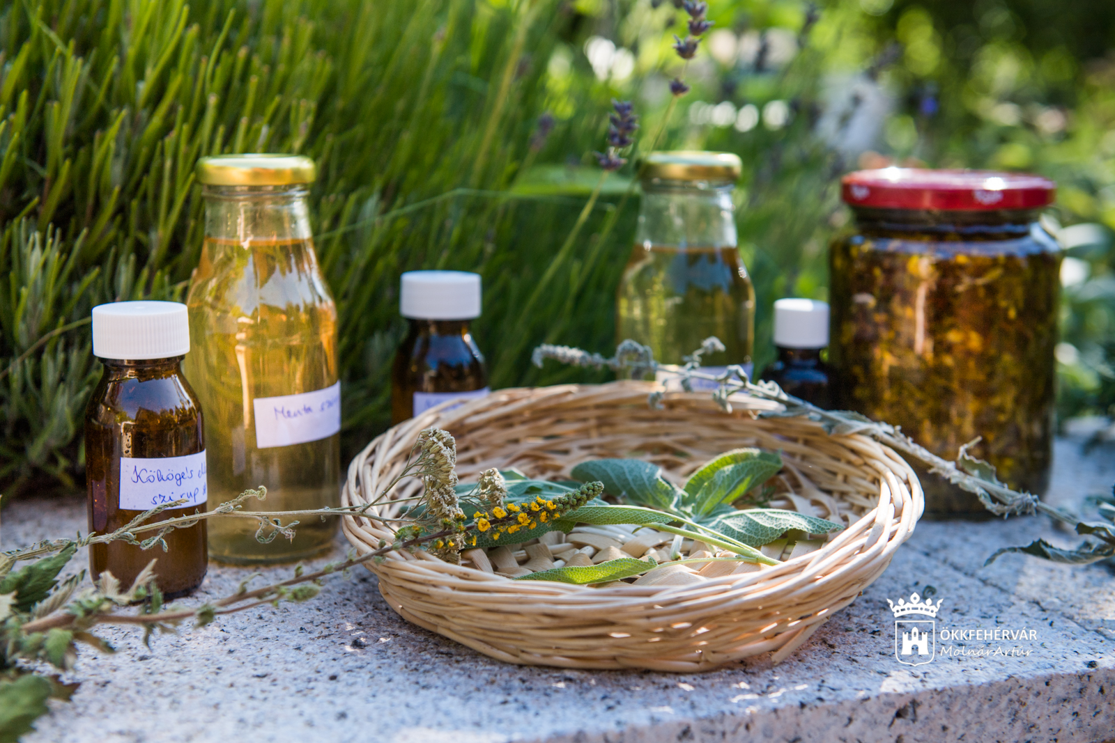 Gyűlnek a nyári gyógynövények